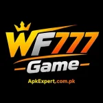 WF777 Game