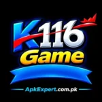 K116 Game